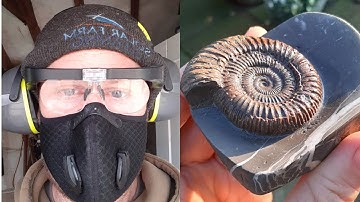 Dremel Fossil Preparation 2