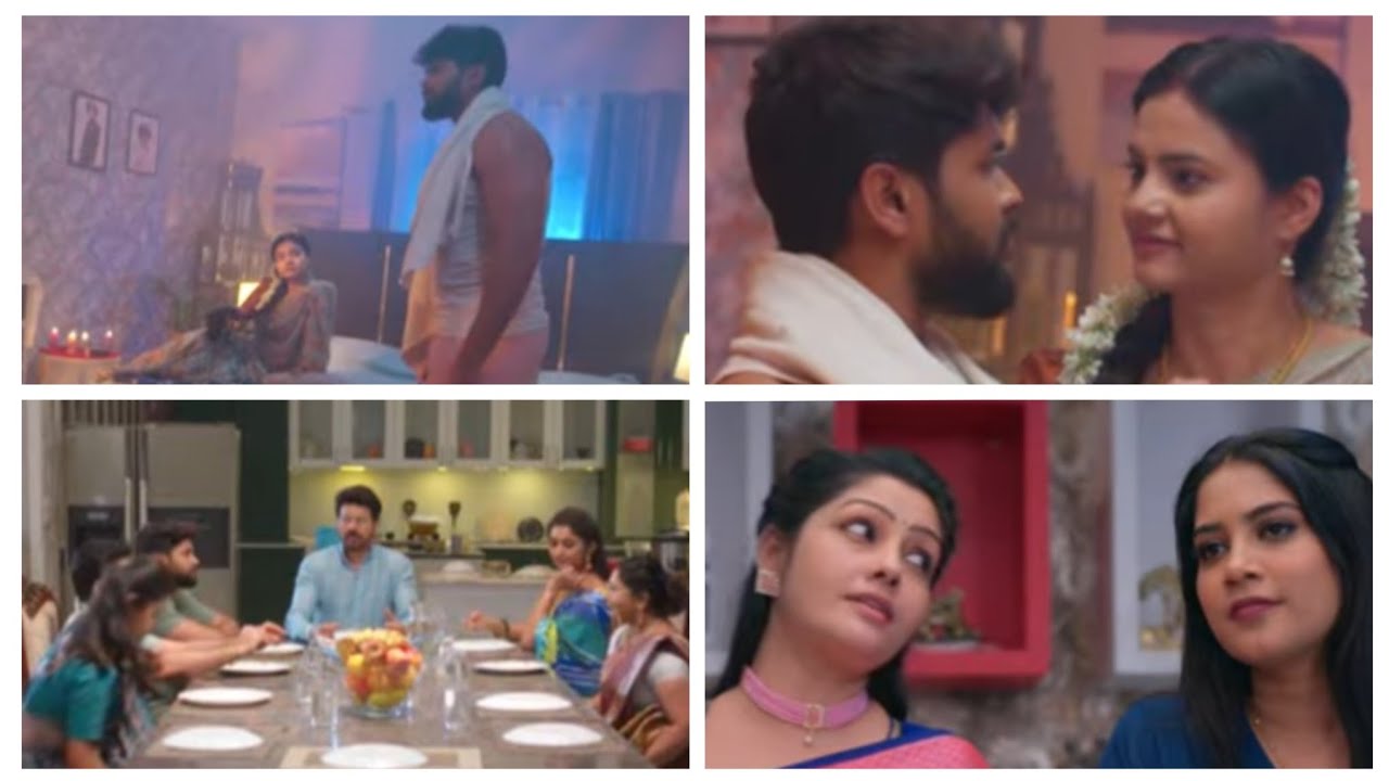 Chinni serial today full episode 15-01-2026 Review