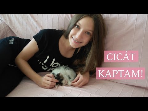 Videó: Hogyan Nevezzünk El Egy Lány Cicát