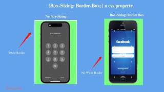 Famous Box Sizing Border Box CSS Net Worth