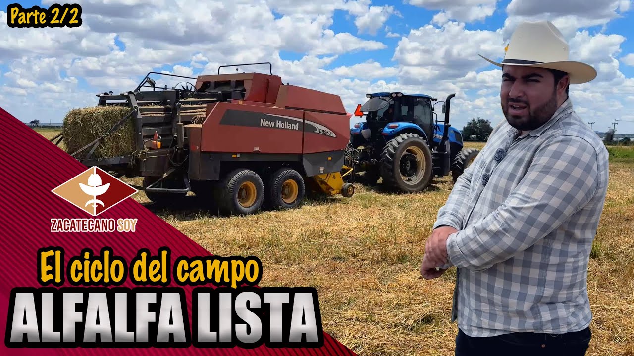 LA AVENA NO SIRVIÓ se tuvo que empacar