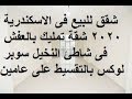 شقق للبيع فى الاسكندرية 2020 شقة تمليك بالعفش فى شاطئ النخيل سوبر لوكس بالتقسيط على عامين