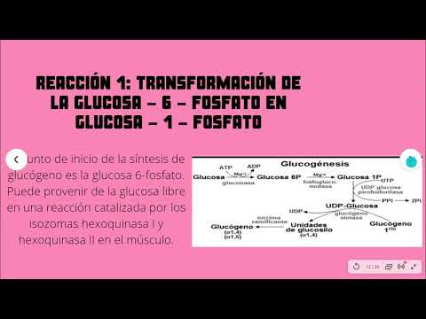 Vídeo: Glucogenosis: Formas, Causas, Signos Principales, Métodos De Tratamiento