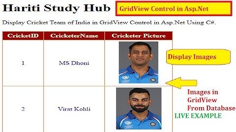 Display Image in GridView Control From Database Using Asp.net C# | Hindi | Online Classes