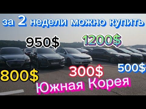 АВТО дешевле Телефона.2023 год. август. Цены на автомобили. Южная Корея