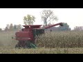 Harvest 2020 | Case IH 2366 Combine Harvesting Corn | Corn Harvest 2020