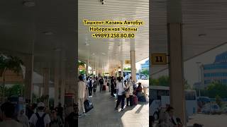 🇺🇿Ташкент Казань Автобус #ташкент #казань #набережная #челны #нижнекамск #автобус #прямой #рейс