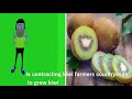 Kiwi farming taking roots in Kenya