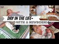 A DAY IN THE LIFE WITH  A NEWBORN! || 2/10/19