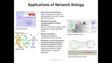 Network Visualization and Analysis with Cytoscape