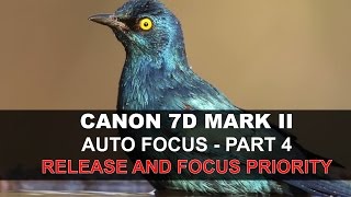 Canon 7D Mark II Auto Focus - Part 4/5: Release and Focus Priority