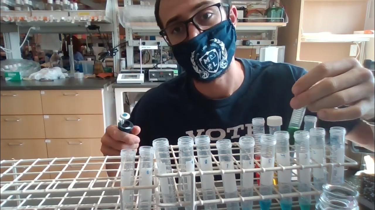 Serial Dilution for titration of compliment YouTube