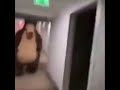 Bear chasing person down hall meme