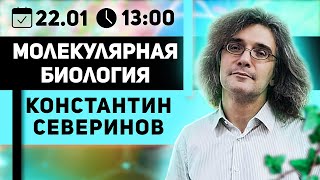 видео: Константин Северинов. Молекулярная биология: Как клонируют ДНК . Инвестируем в производство инсулина картинка: Константин Северинов. Молекулярная биология: Как клонируют ДНК . Инвестируем в производство инсулина