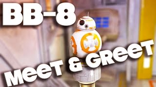 BB-8 STAR WARS MEET & GREET - DISNEY WORLD - HOLLYWOOD STUDIOS