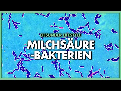 Video: Sind Produkte Milchsäure?