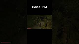 LUCKY FIND!