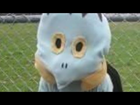 Coolest Pokemon Costumes