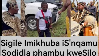Sigile imikhuba Isnqamu Sodidla Phambu kweSilo