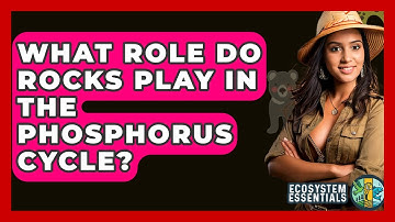 What Role Do Rocks Play In The Phosphorus Cycle? - Ecosystem Essentials