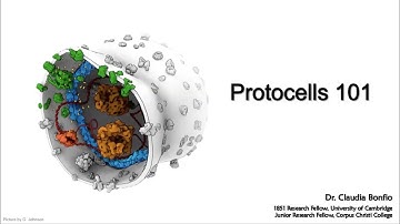 Protocells 101