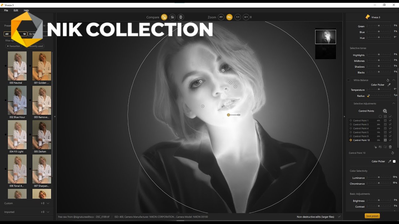 nikcollection4 nikcollection4