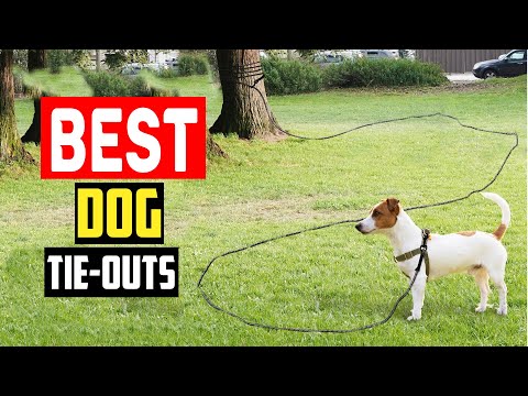 Best Tie Out Cable For Dogs