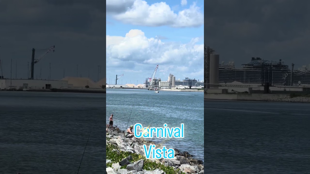🚨 POV: You don’t have a cruise booked… so you go stalk the cruise ships instead. 😂🚢 #cruise