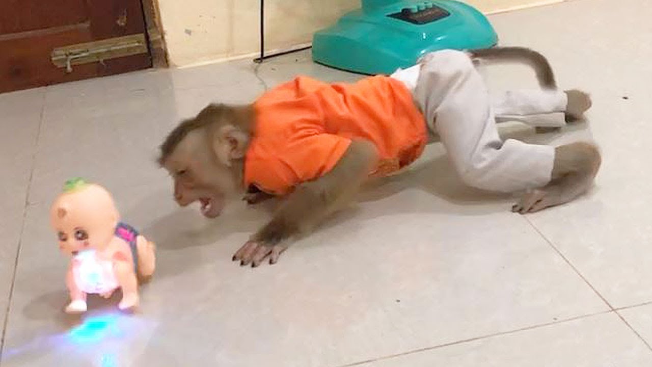 Little Jason Amazed With Doubt When Baby Doll Crawl Action