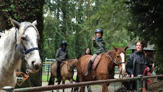 Equi'Libre à l'ASBL 'Les Rênes de la Vie'