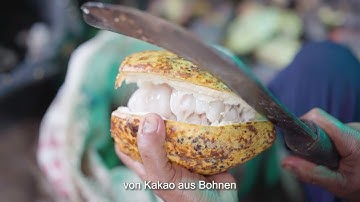 KOANA - UGM Cocoa Teaching and Learning Industry