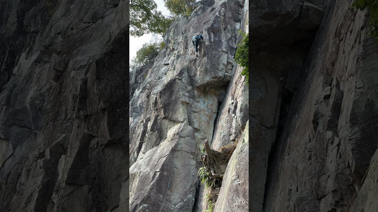 新岩　ツルタの大冒険11d