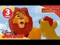 The Lion Guard | The Kupatana Celebration | Disney Junior UK