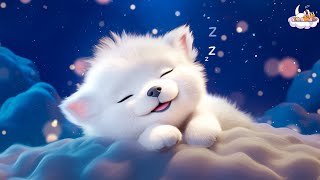 MUSIC TO REDUCE INSOMNIA QUICKLY 💤 Relaxing music to help you sleep - Cure Stress