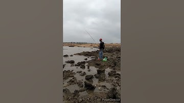 Cần thủ câu cá đục tại bãi cầu Tuần Châu, Hạ Long, Quảng Ninh!!!