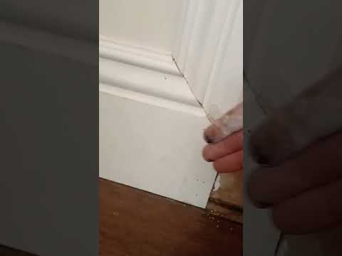 Trim Repair with