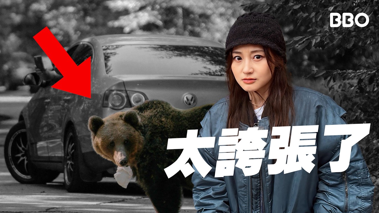 野熊襲擊？走入熊城了解為何今年熊患特別嚴重？ ｜#BBO｜ #眼看未為真 #羅馬尼亞