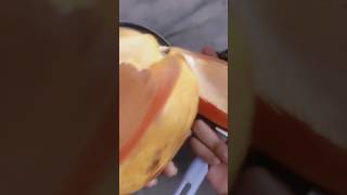 “mountain papaya” is seedless variety of papaya #seedless #fruits #mountainpapaya #agriculture