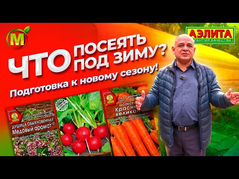 ПОДЗИМНИЙ ПОСЕВ: что