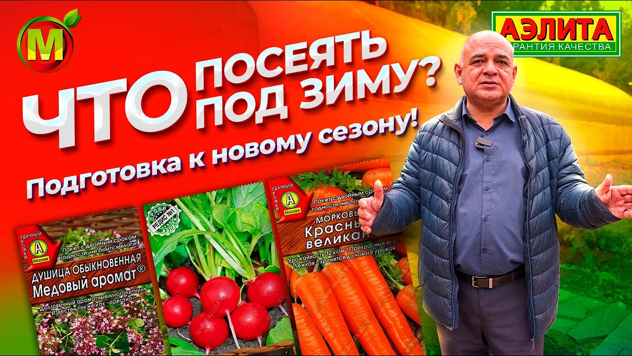 ПОДЗИМНИЙ ПОСЕВ: что посеять, когда и как? Расскажем основные правила ...