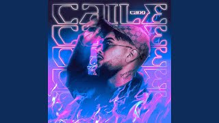 Caile - Cano