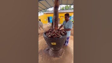 Whole Process of Coconut Oil Extraction