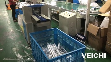 VEICHI SD700 Servo System using on the Belt Pillow Packing Machine