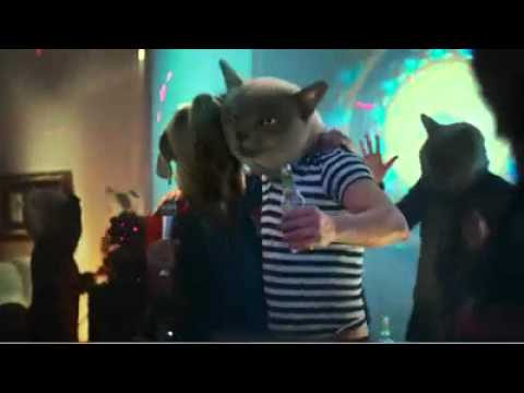 Cats and Dogs - No!!!!!.m4v