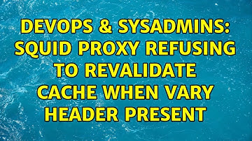 DevOps & SysAdmins: Squid proxy refusing to revalidate cache when Vary header present