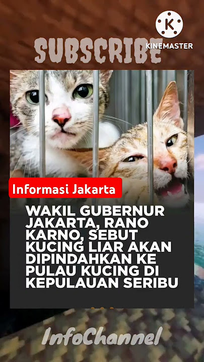 WAGUB RANO KARNO: Anda Di Bayar Untuk Urus Rakyat Pak, Ngapain Urusin Kucing #shorts #ranokarno