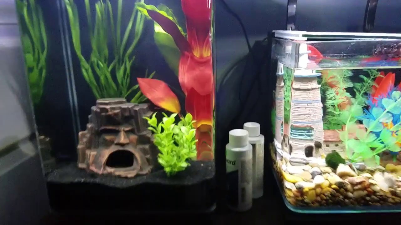 marineland contour 3 gallon aquarium