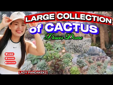 LARGE COLLECTION OF CACTUS AT FLOWER DOME | LADY PANDAKEKZ #subscribe #trending #video