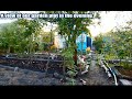 August 2020 Year Our Dacha