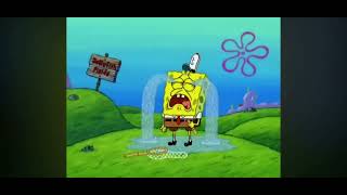 My Reaction That Stetson Mae Eggleston Got Terminated